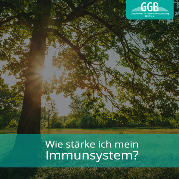 Corona Immunsystem