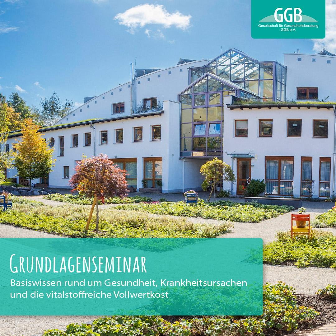Basiswissen Ernährung & Gesundheit - Grundlagenseminar G/2/25