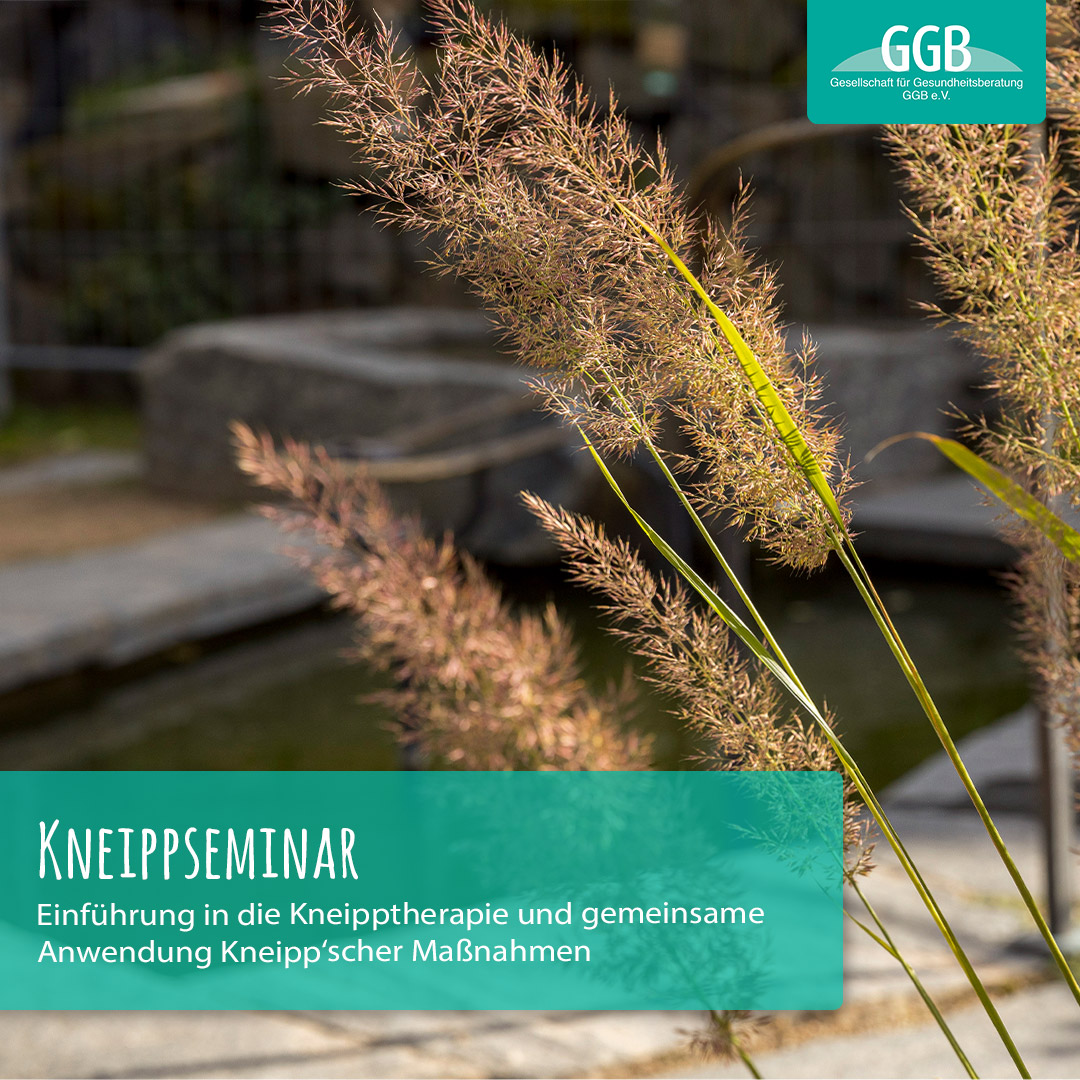Kneipp-Seminar 1/25